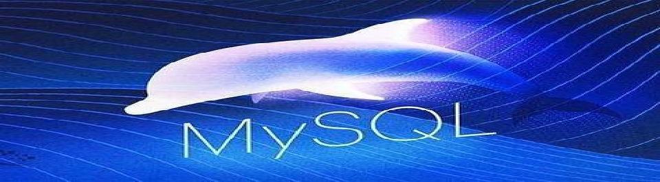 mysql 常用脚本