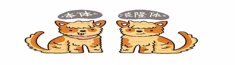 由一个bug谈谈深浅克隆