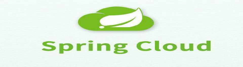 宏观的认识SpringCloud