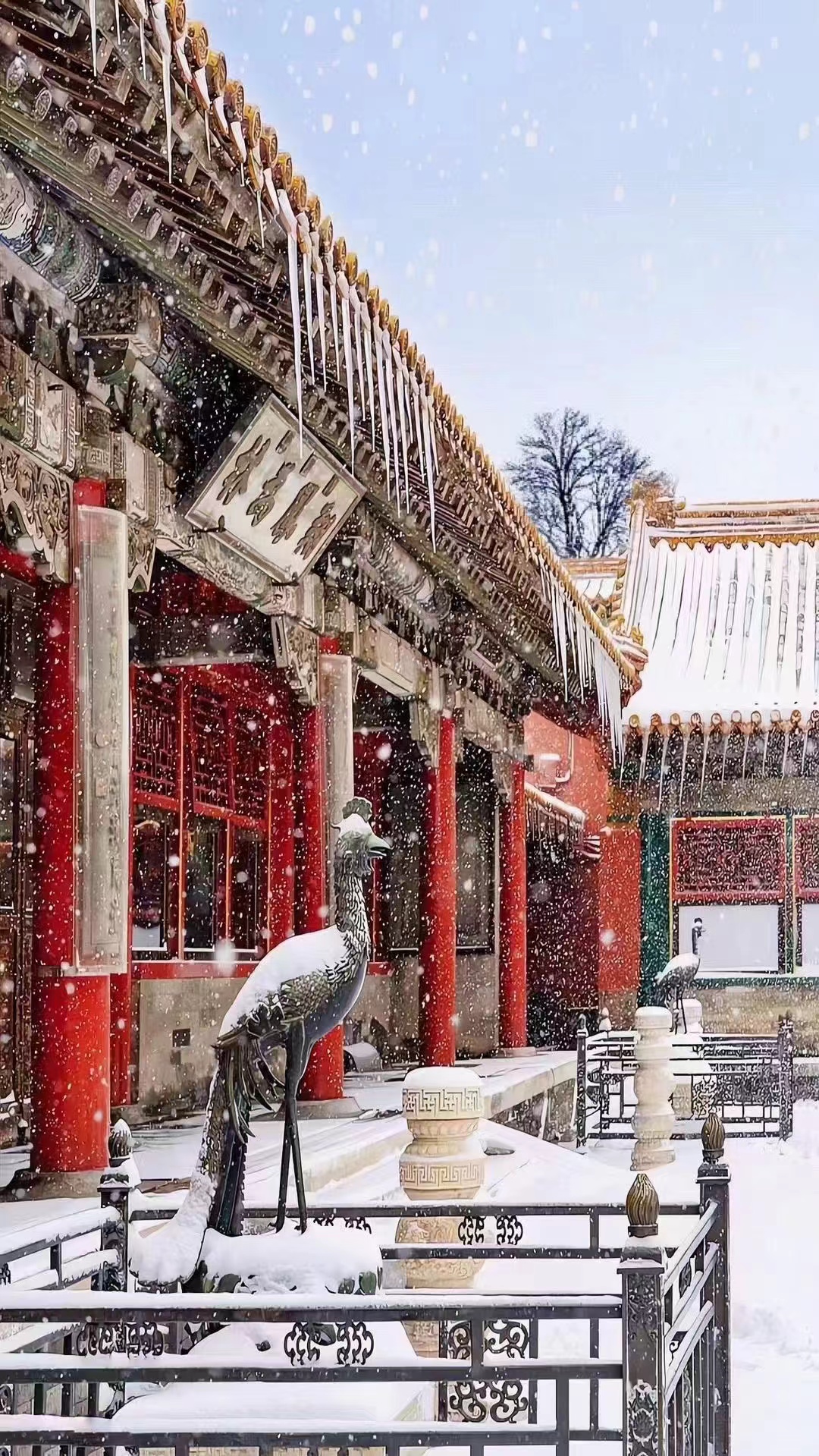 故宫的雪