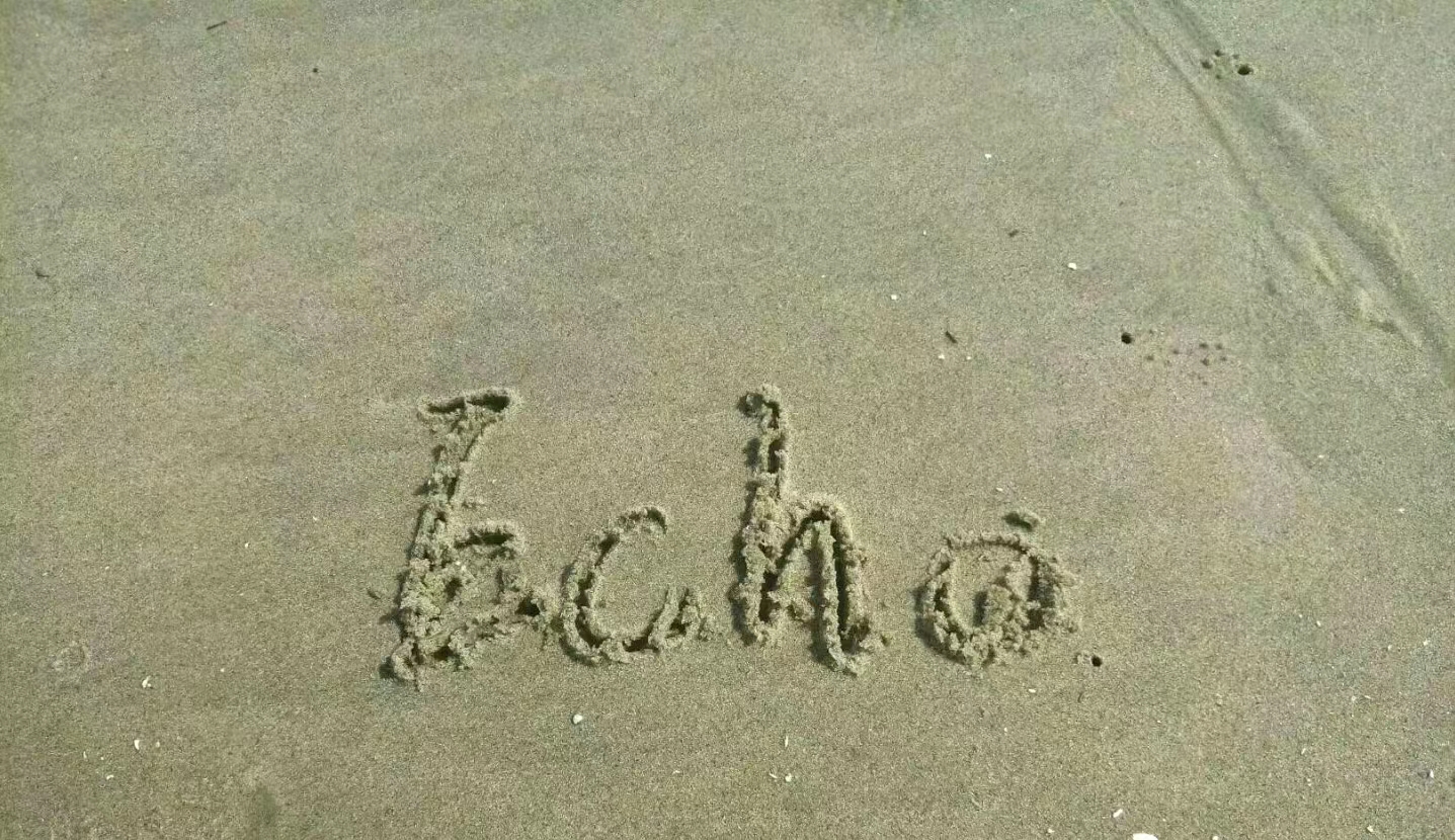 echo