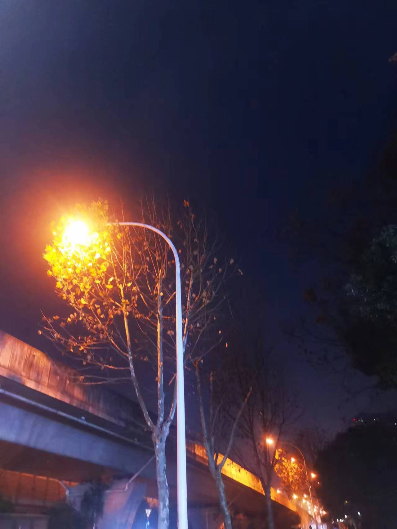 中建康城