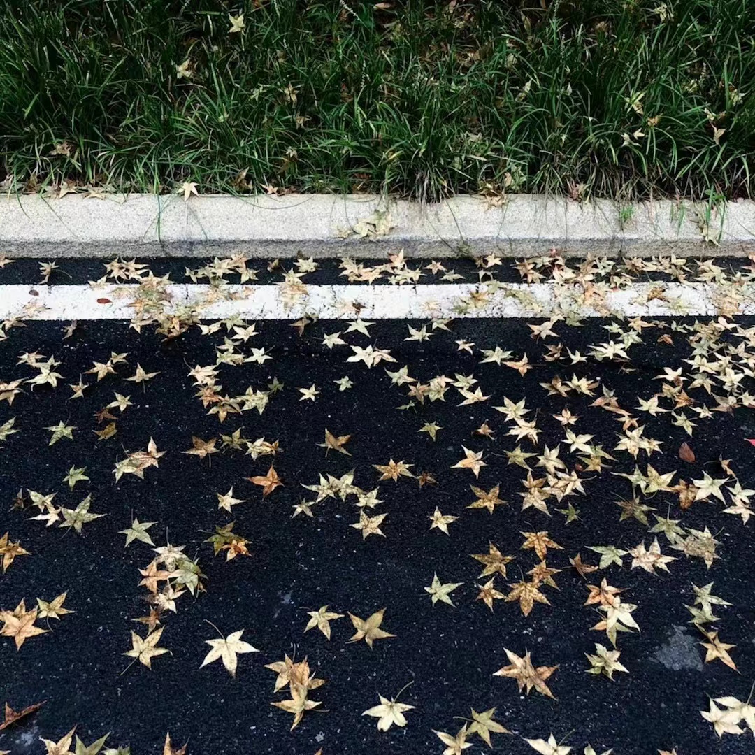 一阵雨后