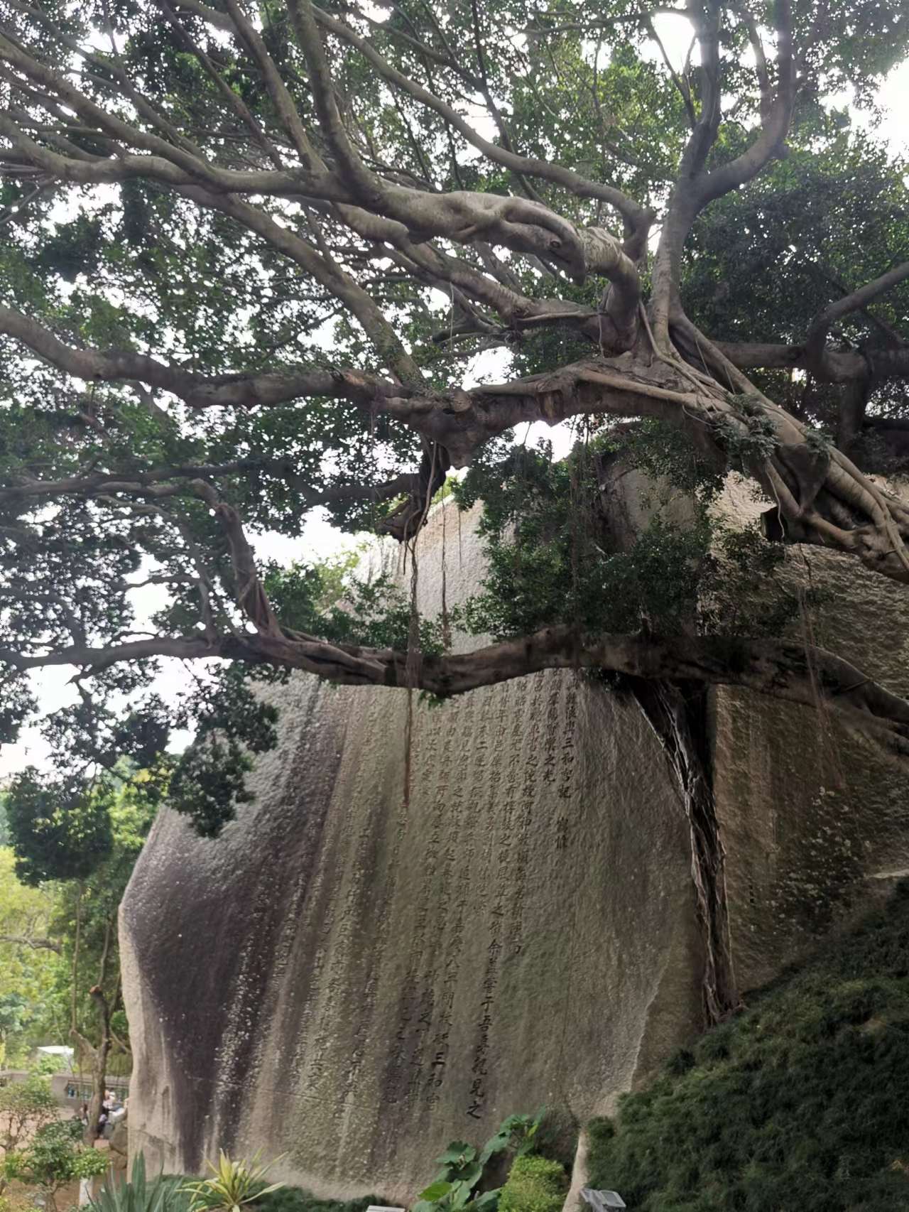 鼓浪屿上面的山石